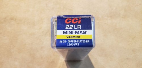 (image for) CCI Mini-Mag .22LR Ammo