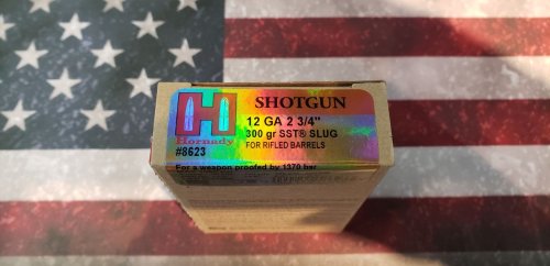 (image for) Hornady 12 Gauge SST Slugs