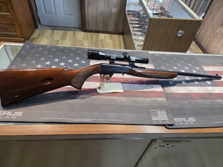 (image for) Interarms 22 Take Down Rifle