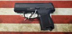 (image for) Sig Sauer P365 9mm Pistol