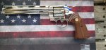 (image for) Nickel Colt Target Python 38 Special 8" Revolver