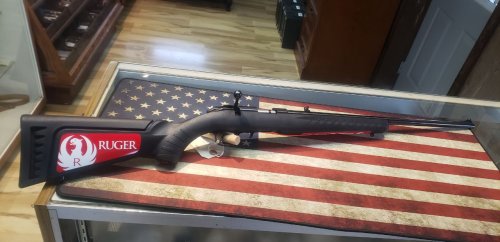 (image for) Ruger American .22 WMR Bolt Action Rifle