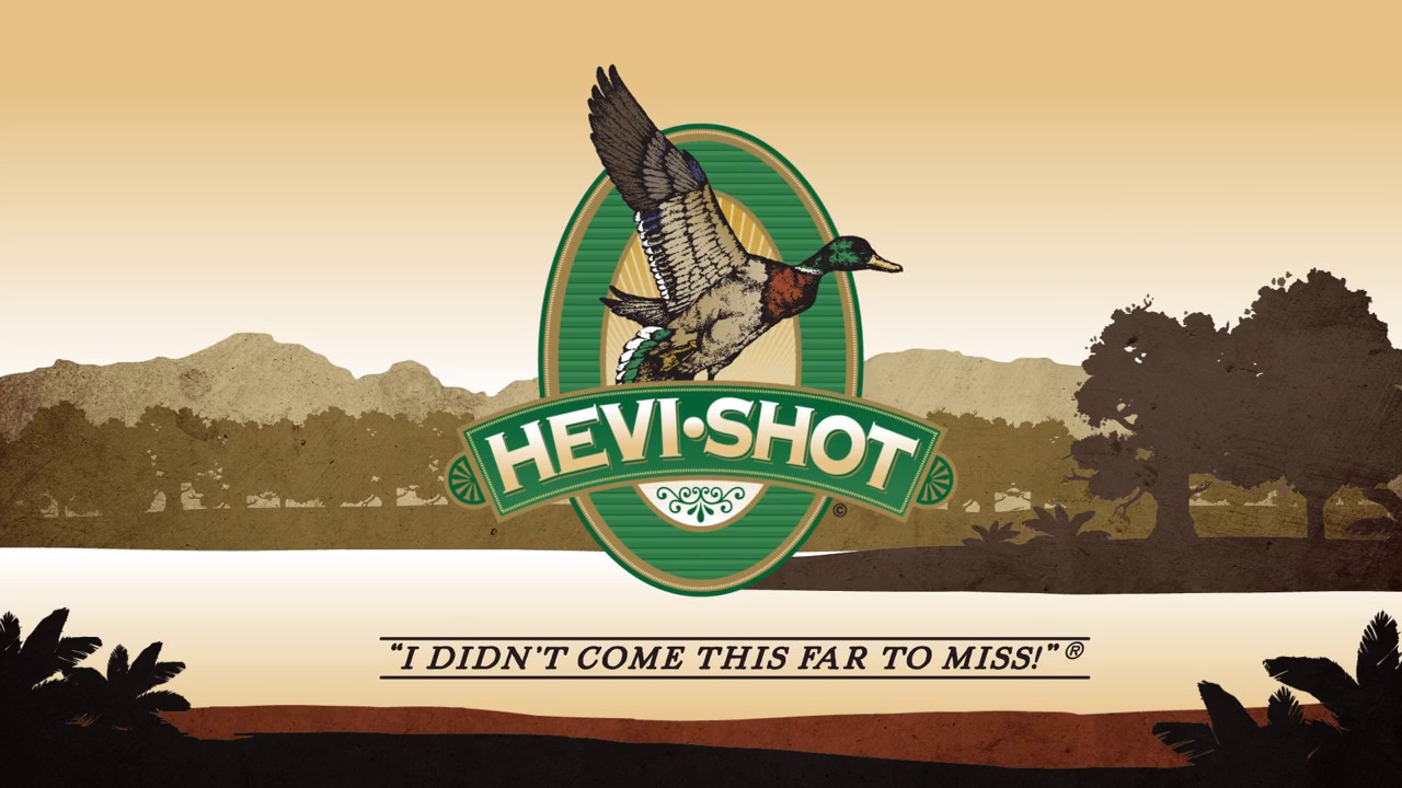 (image for) Hevi Shot